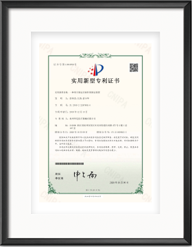 中國專利