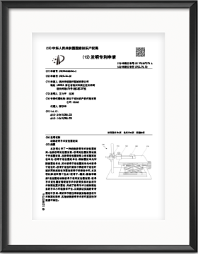 中國專利